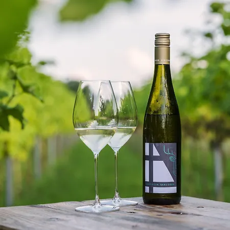 Otel Romantik Jagdhaus Eiden Am 4*