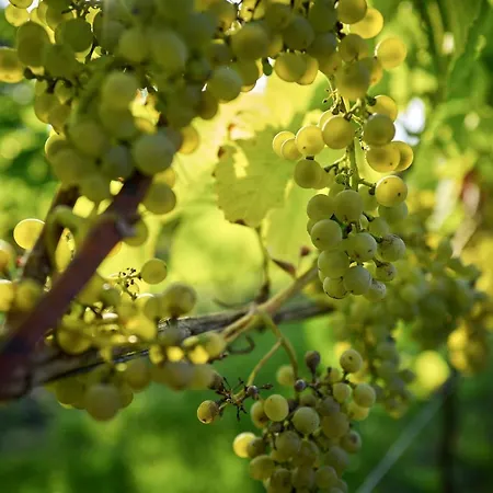 Romantik Jagdhaus Eiden Am