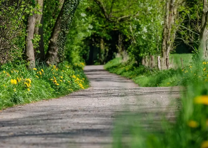 Hotel Romantik Jagdhaus Eiden Am Bad Zwischenahn