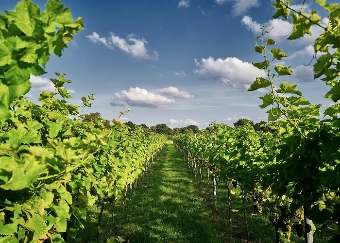 Romantik Jagdhaus Eiden Am Бад-Цвишенан