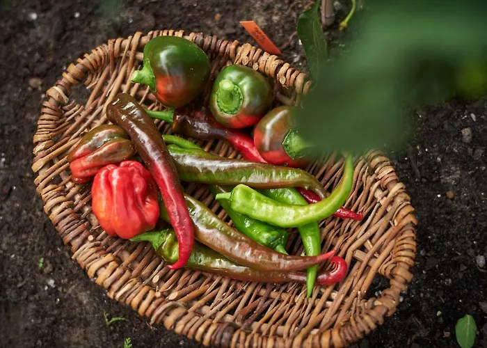 Romantik Jagdhaus Eiden Am