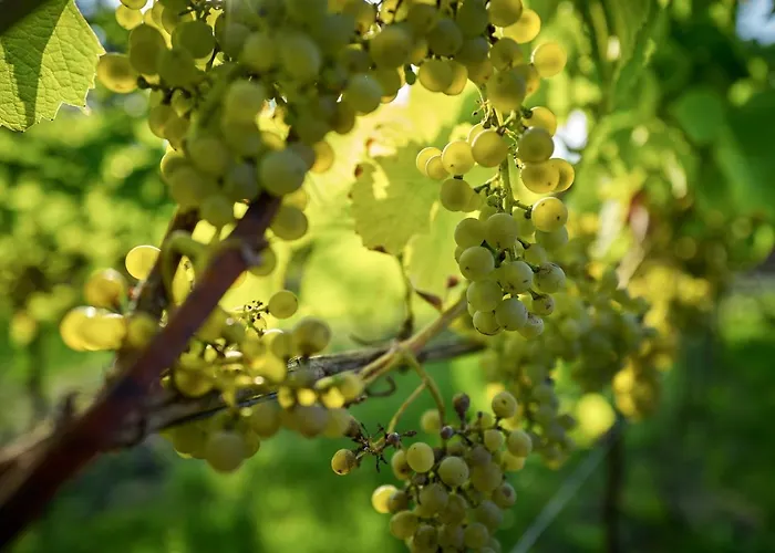 Romantik Jagdhaus Eiden Am
